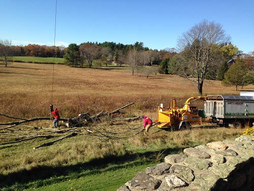 Image for Dave's Landscape Management Company with ID of: 5588335