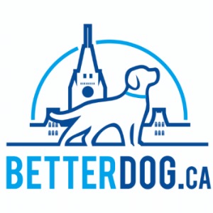 Image for BetterDog with ID of: 6411851