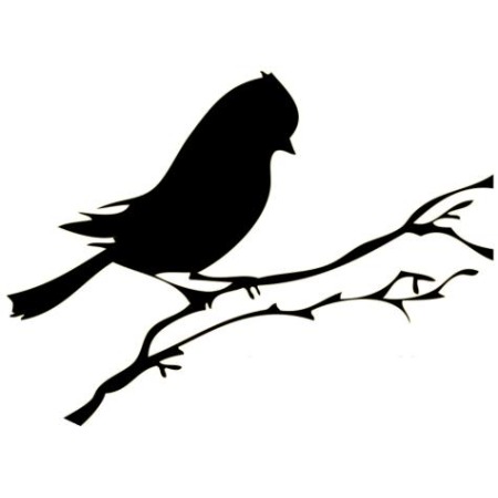 Image for The Perch Brewery with ID of: 6412831