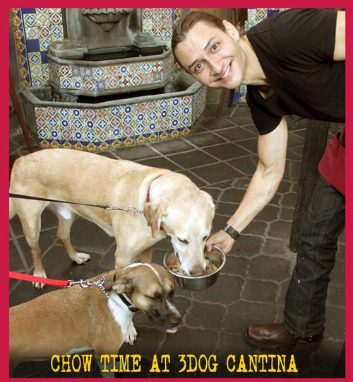Image for 3Dog Cantina with ID of: 641376