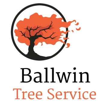 Image for Ballwin Tree Service with ID of: 6417514