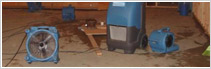 Image for 911 Flood Services with ID of: 641891