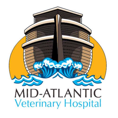 Image for Mid-Atlantic Veterinary Hospital with ID of: 6419170