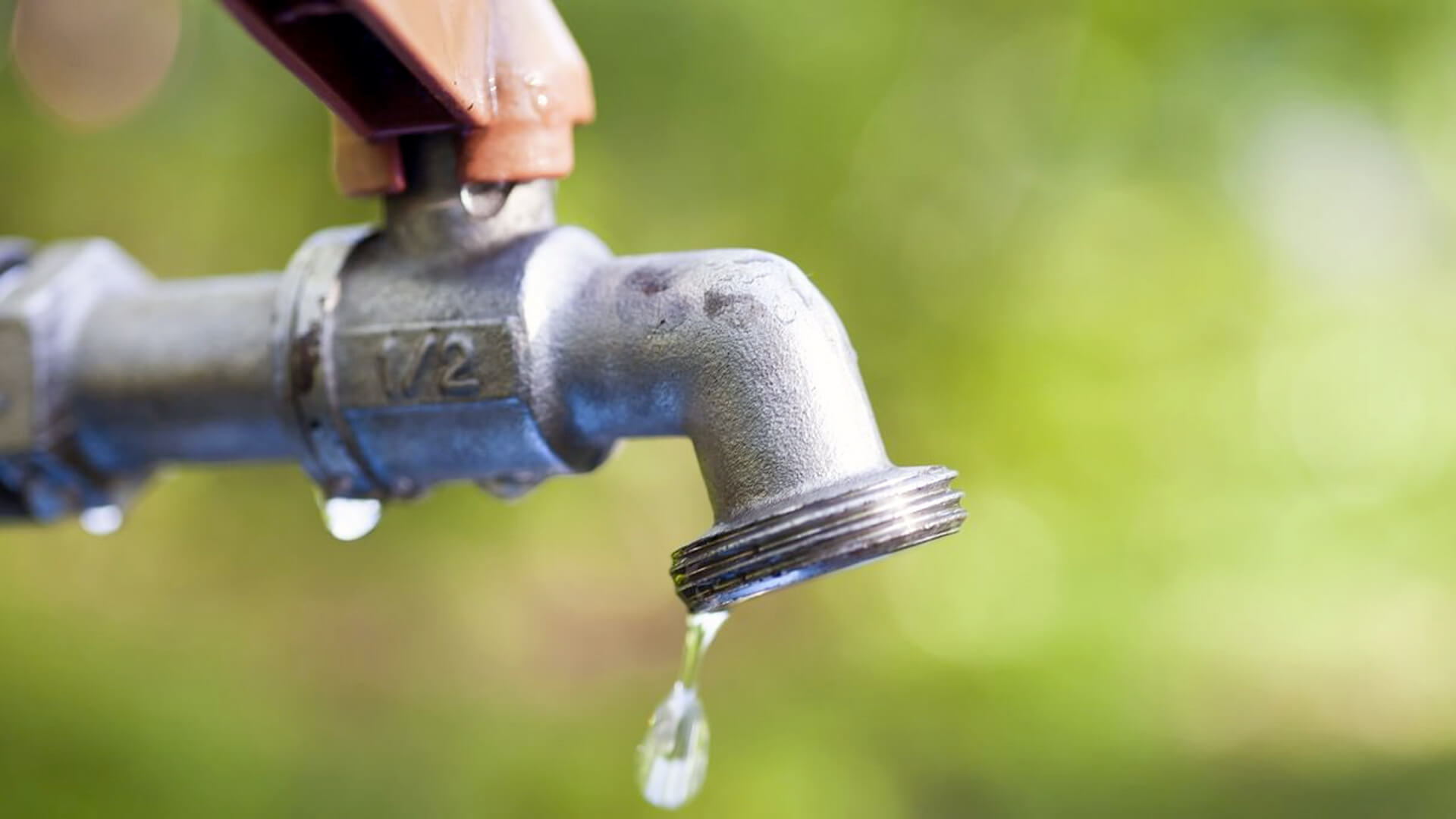 Image for Emergency Leak Detection: What To Do If You Suspect A Water Leak? with ID of: 6419281