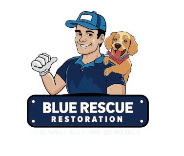Image for Blue Rescue Restoration with ID of: 6420709