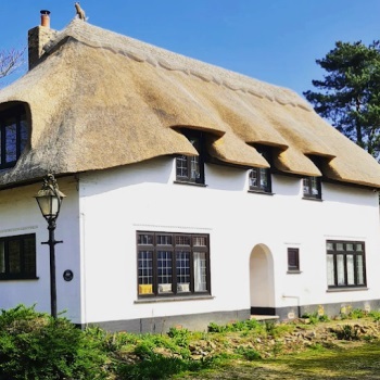 Image for Simply Thatch with ID of: 5600545