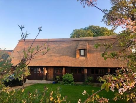 Image for Simply Thatch with ID of: 5600546