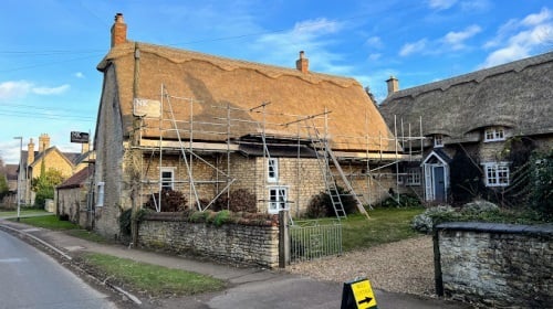 Image for Simply Thatch with ID of: 5600547