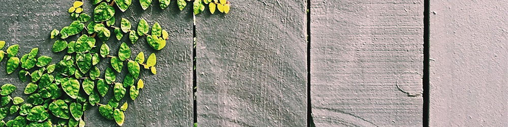 Image for Beach Fencing with ID of: 5601745