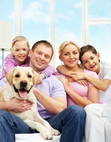 Image for Spectrum Pest Control with ID of: 642289