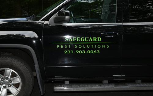 Image for Safeguard Pest Solutions LLC with ID of: 5603868