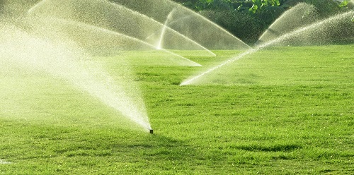 Image for AM Irrigation with ID of: 4723366