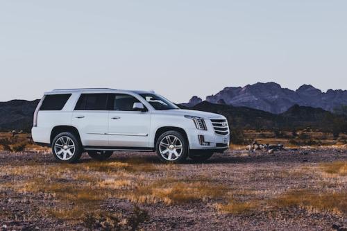 Image for First Rate Limo with ID of: 5605144