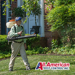Image for All-American Pest Control with ID of: 5606113