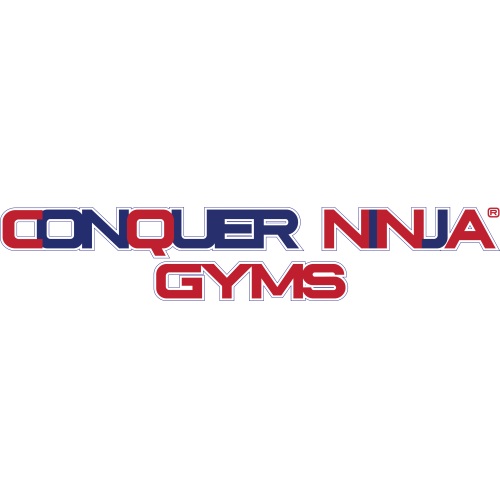 Image for Conquer Ninja Gyms Chandler with ID of: 6427038