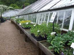 Image for Brainer's Greenhouse with ID of: 642918