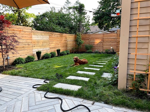 Image for Paradise Views Landscaping with ID of: 5608416