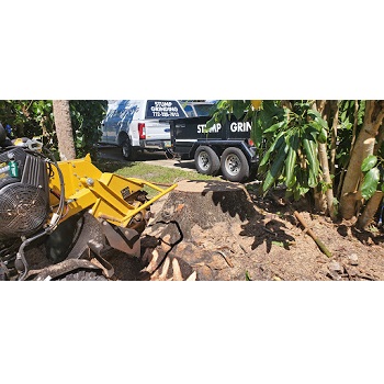 Image for Mama's Stump Grinding with ID of: 5608729