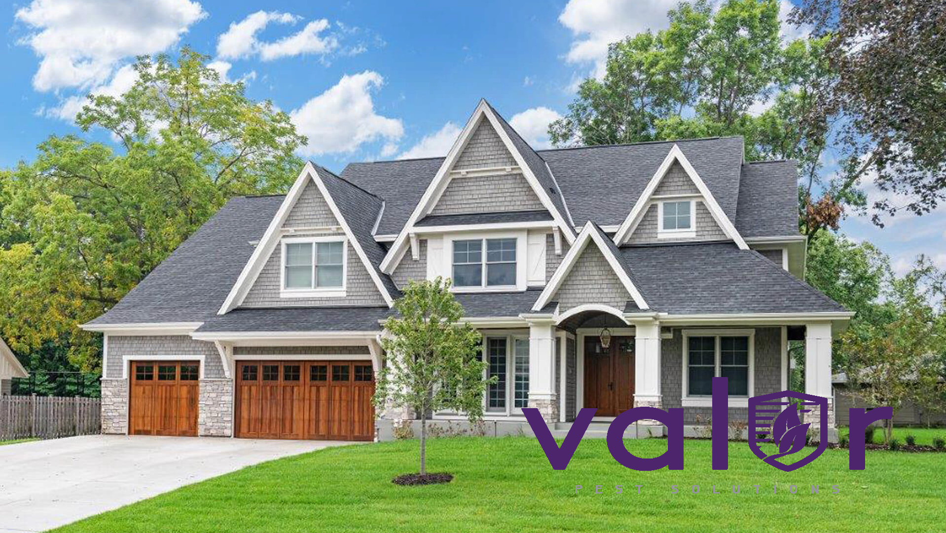 Image for Valor Pest Solutions with ID of: 5611497