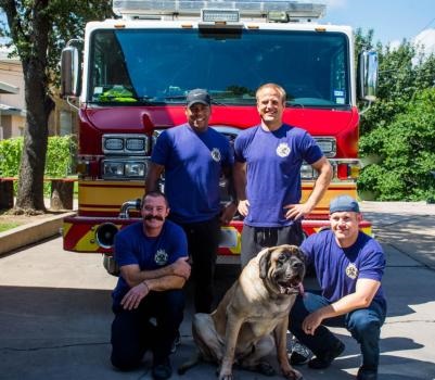 Image for ATX Firefighter Moving LLC with ID of: 5612053