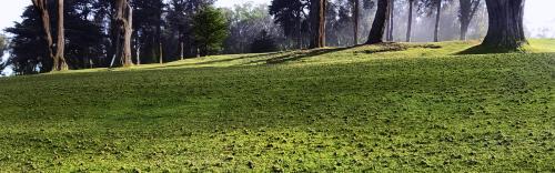 Image for Elrod Landscaping with ID of: 5614007