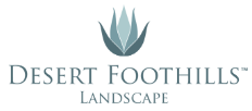Image for Desert Foothills Landscape with ID of: 6431985
