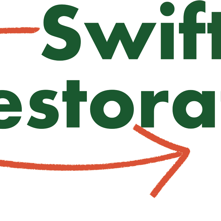 Image for Swift Restoration with ID of: 6432406