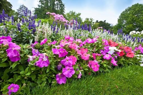 Image for AVS Landscaping Inc with ID of: 5617024