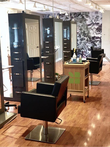 Image for Paradigm Salon & Company with ID of: 5617302