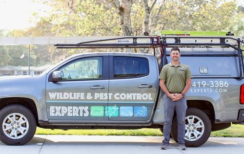 Image for Wildlife & Pest Control Experts with ID of: 5617758