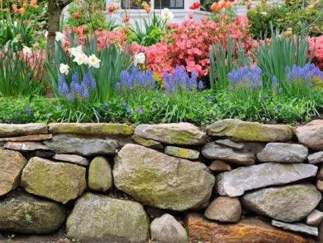 Image for Gordon's Lawn & Landscape with ID of: 5621882
