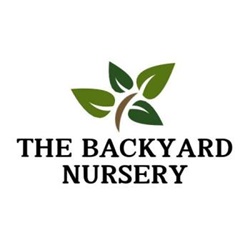 Image for The Backyard Nursery with ID of: 6437869