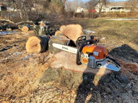 Image for Michiana Tree Service with ID of: 5622306