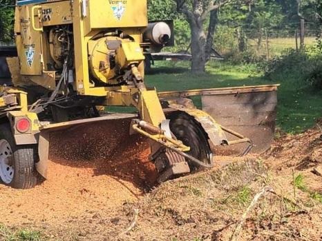 Image for Michiana Tree Service with ID of: 5622308
