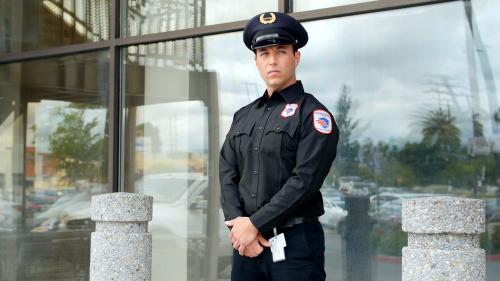 Image for Security Guard Pros with ID of: 5622509