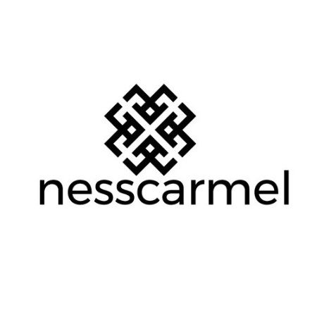 Image for Ness Carmel Construction with ID of: 6438949