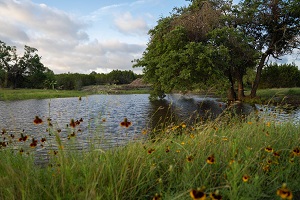 Image for Round Mountain Reserve with ID of: 5626276