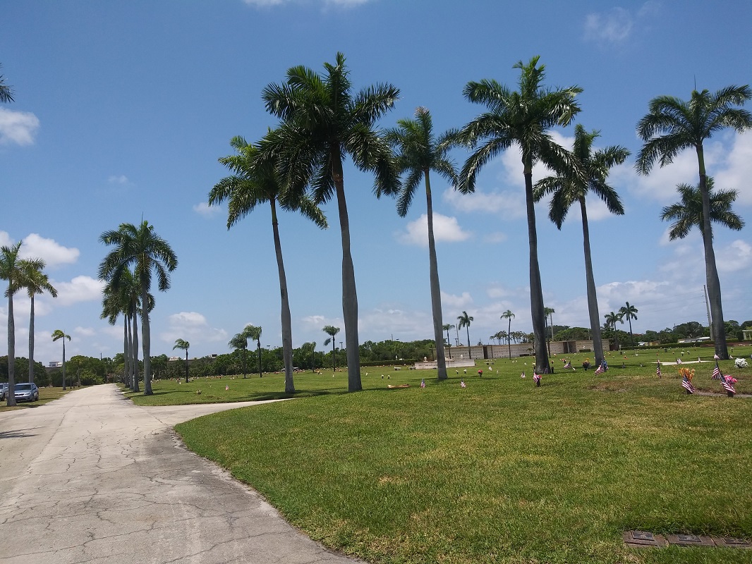 Image for Palm Beach Memorial with ID of: 5627805