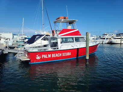 Image for Palm Beach Scuba with ID of: 5630848