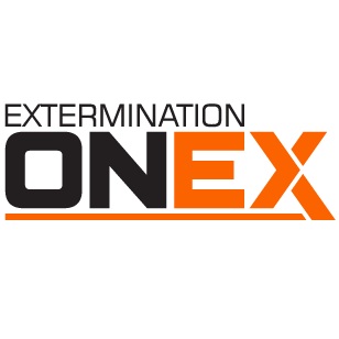 Image for Extermination ONEX with ID of: 6440696