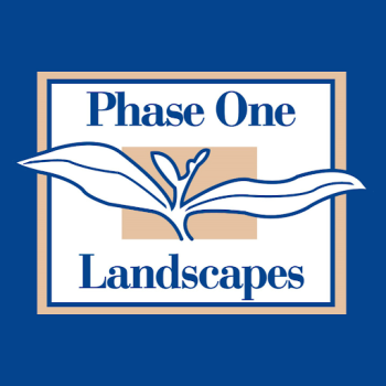 Image for Phase One Landscapes with ID of: 6441013