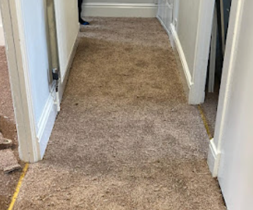 Image for Northwest Carpets Ltd with ID of: 6442970