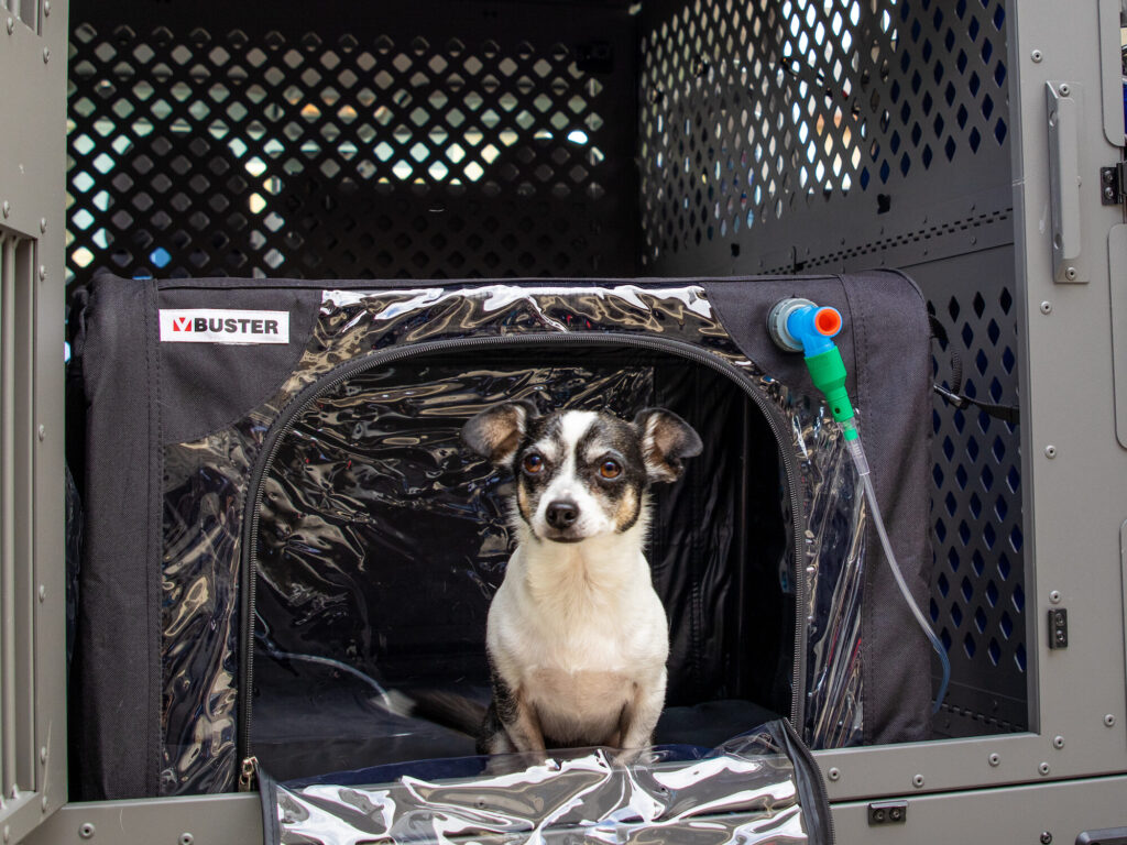 Image for Pet Medical Transport with ID of: 5633419