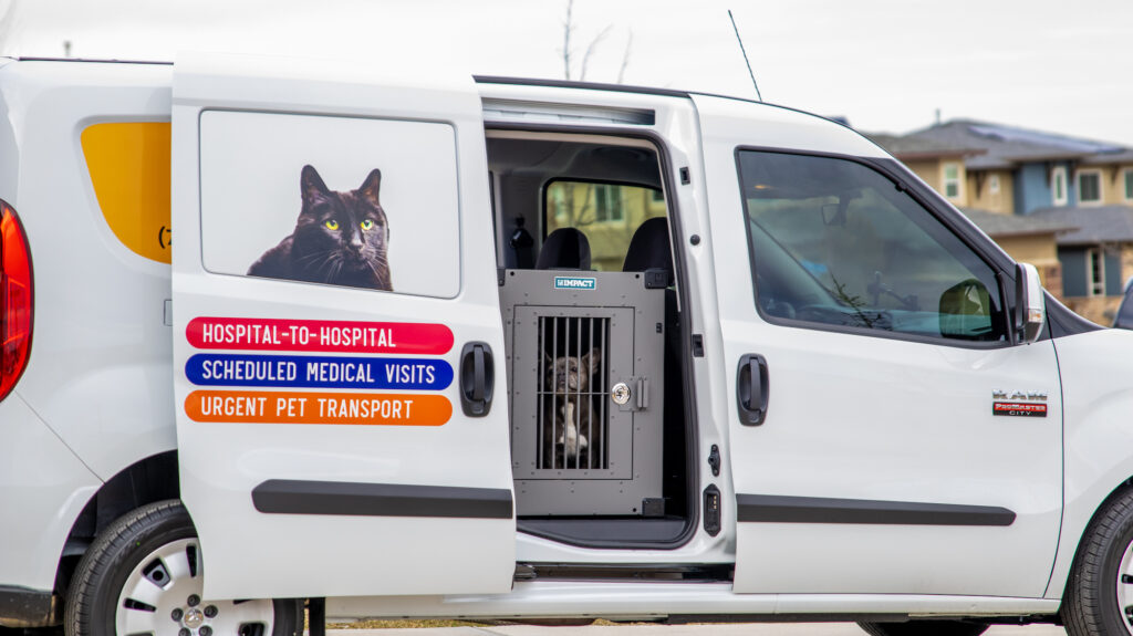 Image for Pet Medical Transport with ID of: 5633421