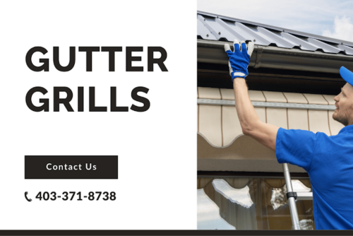 Image for Gutter Grills with ID of: 6444481