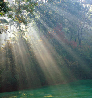 Image for Christian Psychic Minister with ID of: 5633863