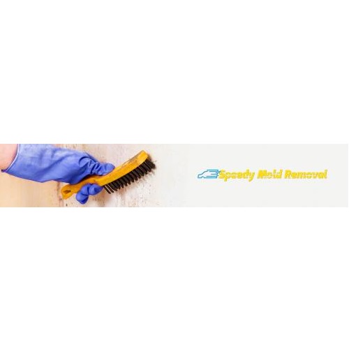 Image for Speedy Mold Removal with ID of: 5634613