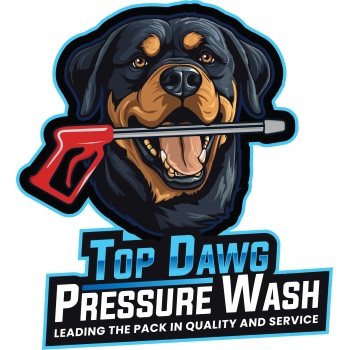 Image for Top Dawg Pressure Wash with ID of: 6447718