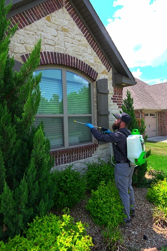 Image for Flex Pest Control with ID of: 5636975