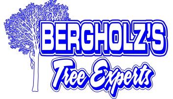 Image for Bergholz's Tree Experts with ID of: 6448887